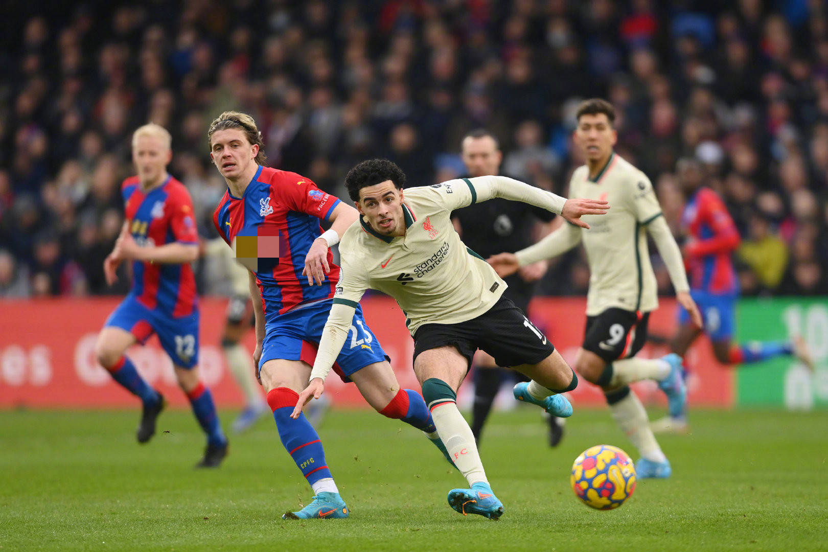 作為一支歐 作為一支歐