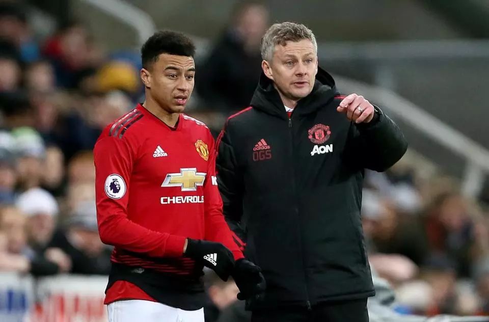 了网球界的 了网球界的